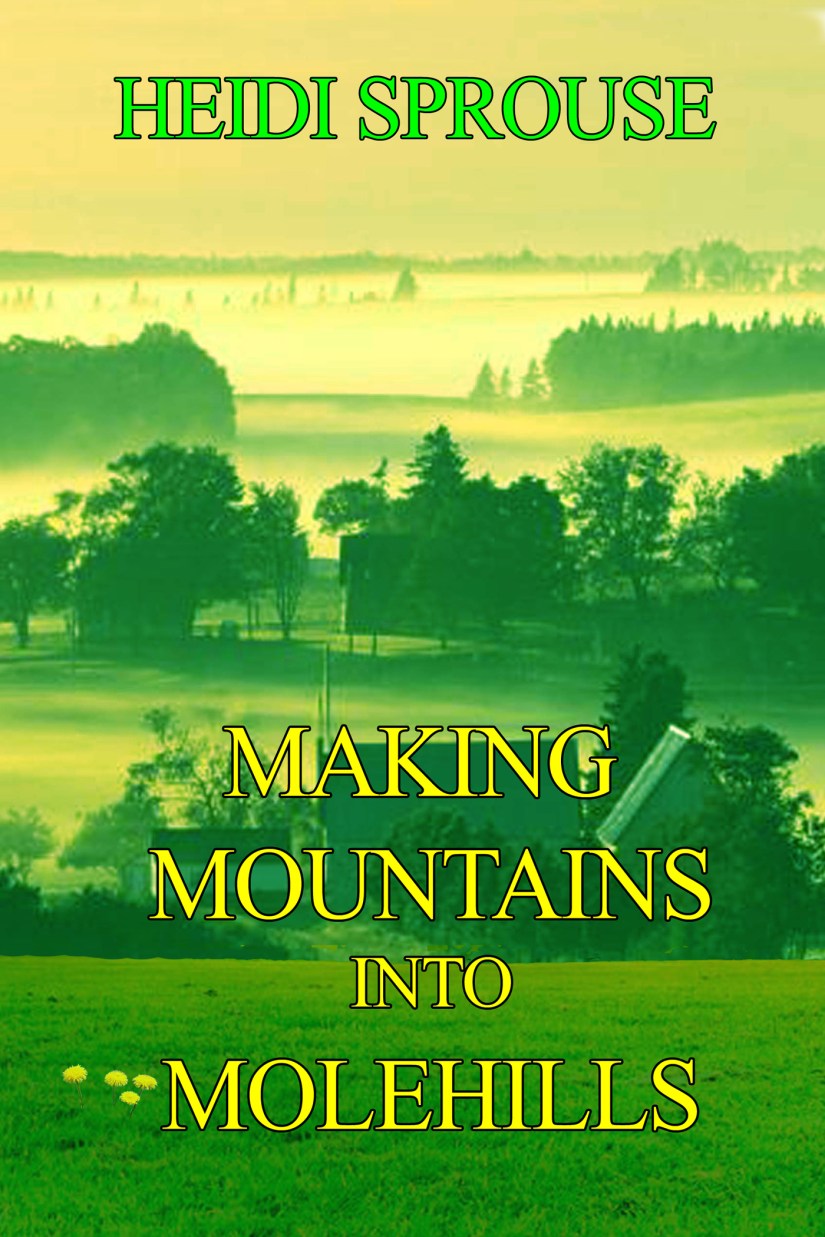 Making Mountains into Molehills 2